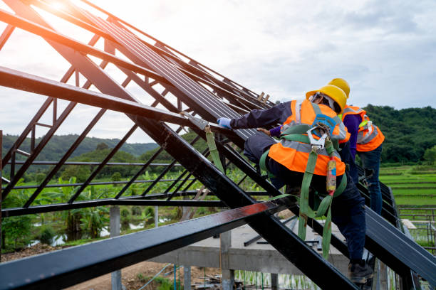 Best Metal Roofing Contractor  in Diamond, IL