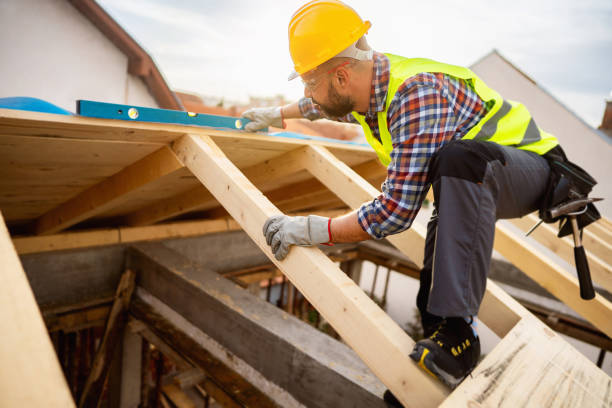 Roof Gutter Cleaning in Diamond, IL