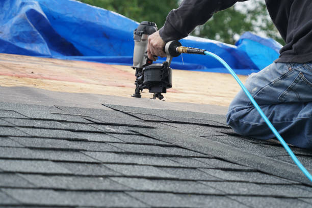 Best Storm Damage Roof Repair  in Diamond, IL