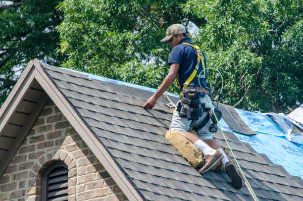 Best Roof Maintenance Services  in Diamond, IL